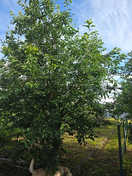 Дом, 191 кв.м.