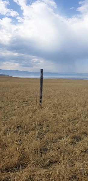 Участок , 12 сот.