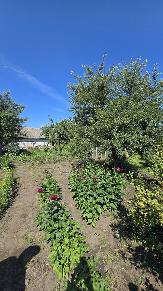 Дом, 226 кв.м.