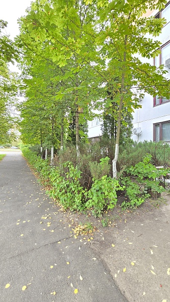 5-к квартира, 71 кв.м.