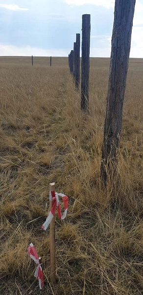 Участок , 12 сот.