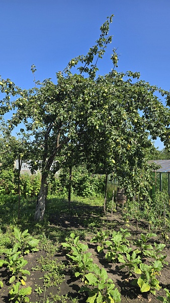 Дом, 226 кв.м.