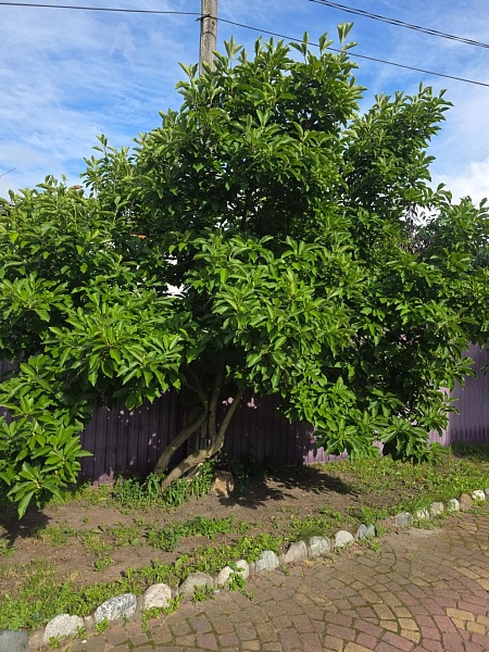 Дом, 191 кв.м.
