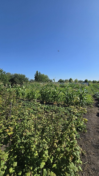 Дом, 226 кв.м.